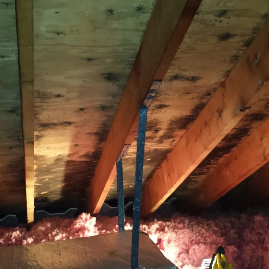 Roof Leak Water Damage in Weston, MA