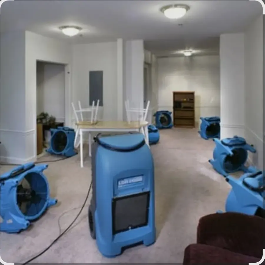 Fans and a dehumidifier running in a Lexington living room after a leak